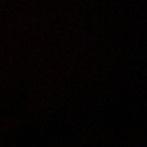 Meet your Posher, Lelan